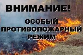 В муниципальных районах Кировской области введен особый противопожарный режим